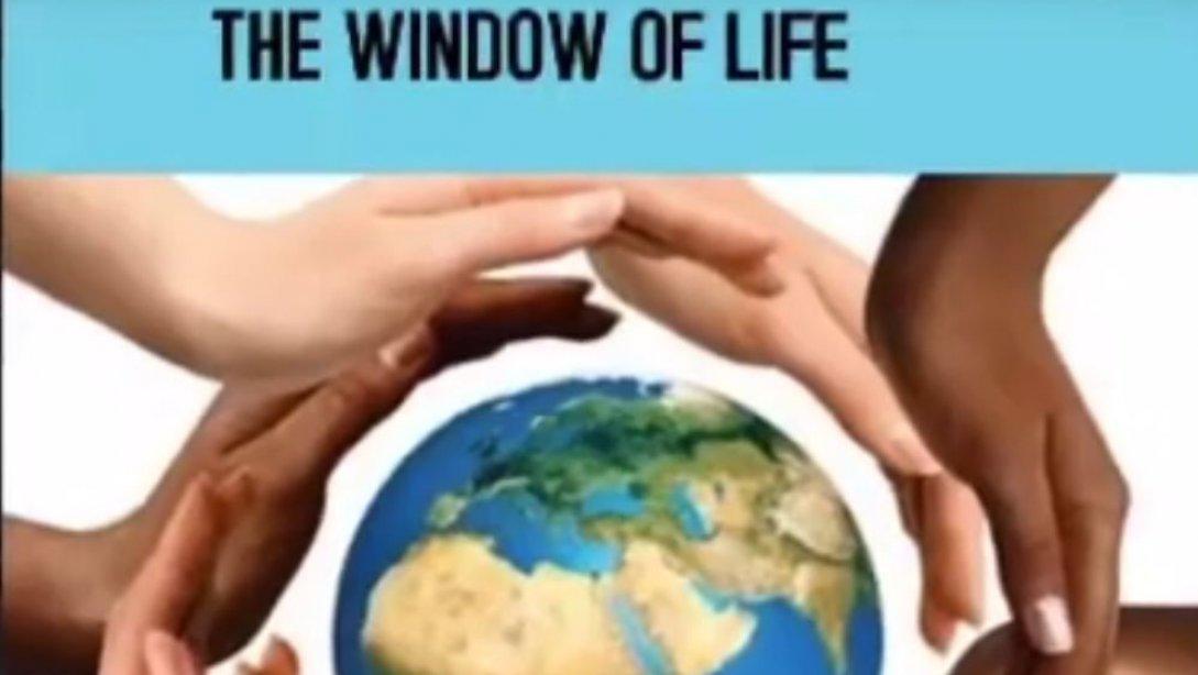 THE WINDOW OF LIFE ADLI E-TWİNNİNG PROJEMİZ